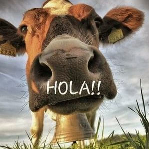 HOLA!!